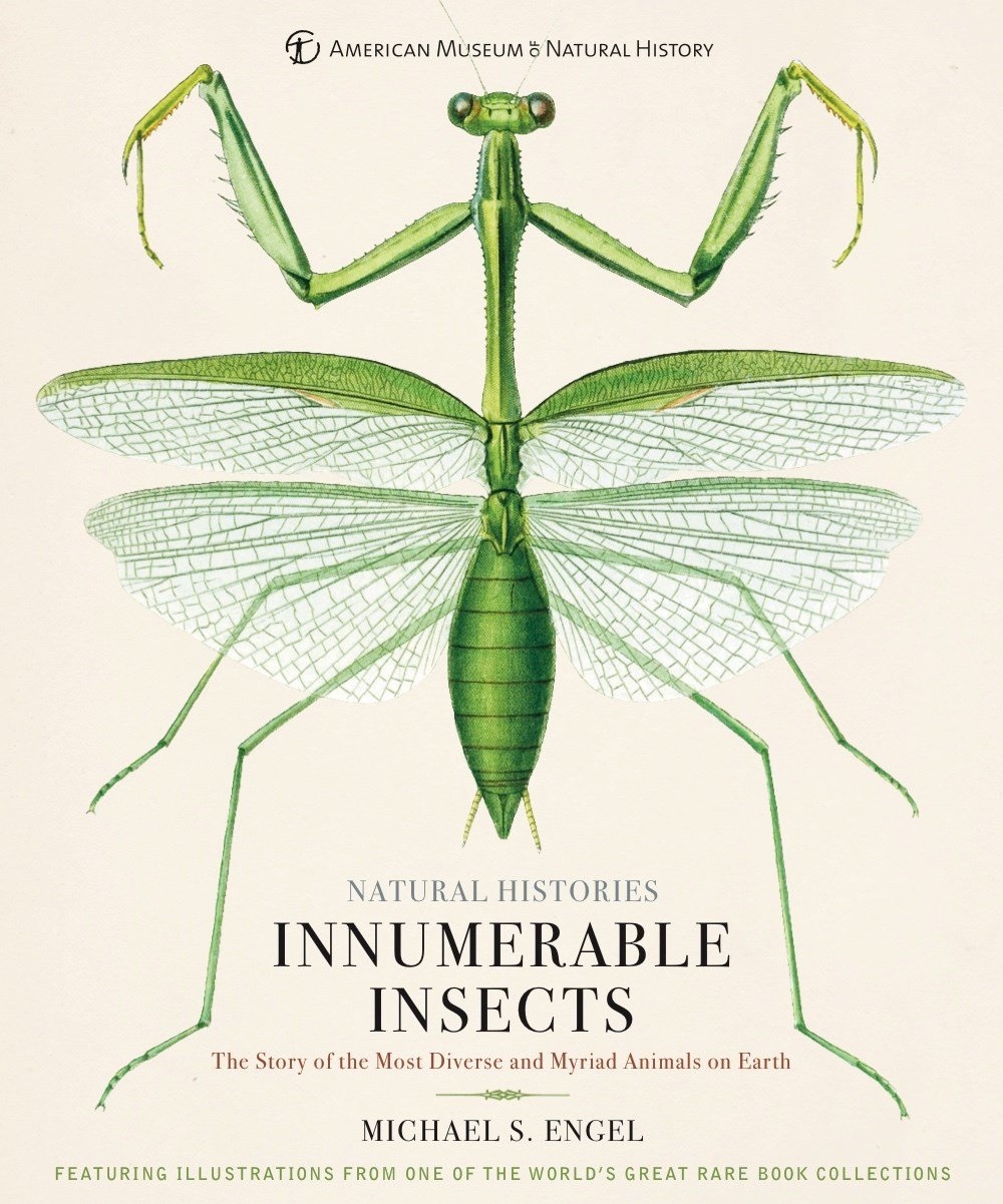 innumerable-insects_orig.jpg